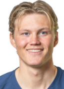 Stenevik H.