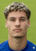 van Leeuwen T.