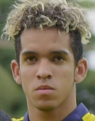 Johan Mina
