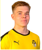 Heinonen A.