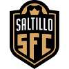 Saltillo Soccer