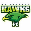 Mount Gravatt Hawks